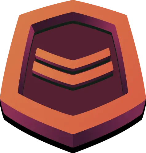 Bronze Spinner Level 2